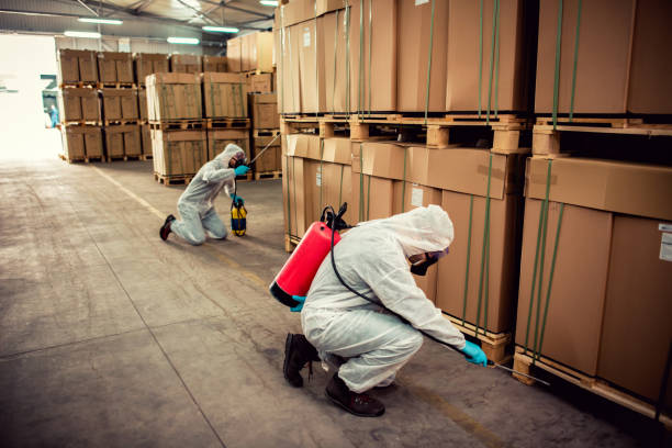 Flea Control Services in Keokea, HI