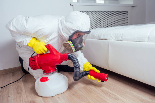 Best Pest Control Near Me in Keokea, HI